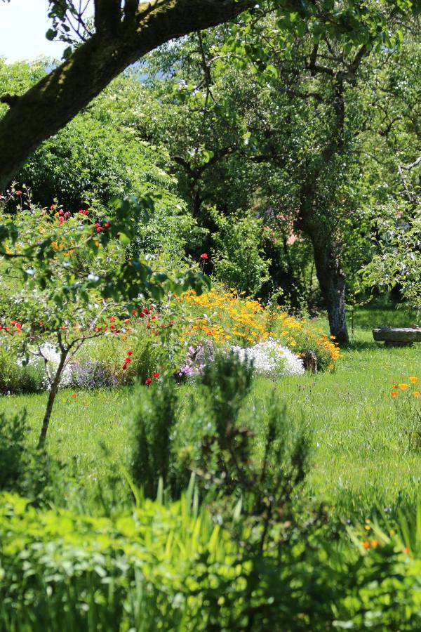 Pazo De Chaioso Ribeira Sacra Maceda Dış mekan fotoğraf